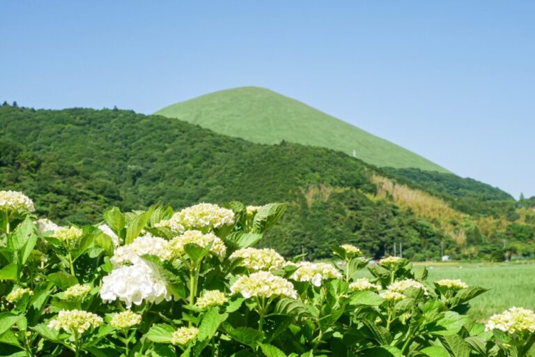 大室山　旅行