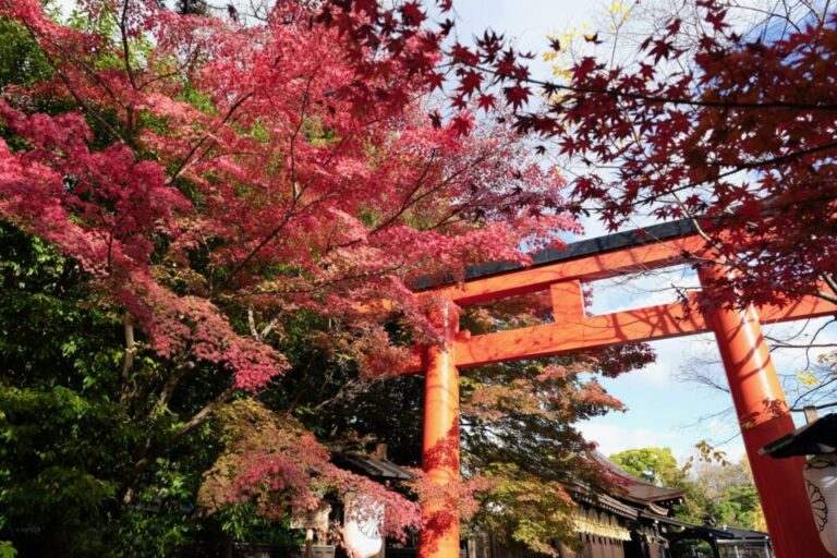 下鴨神社　紅葉