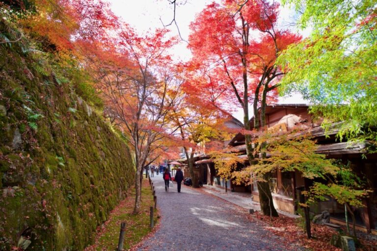 勝林院　紅葉