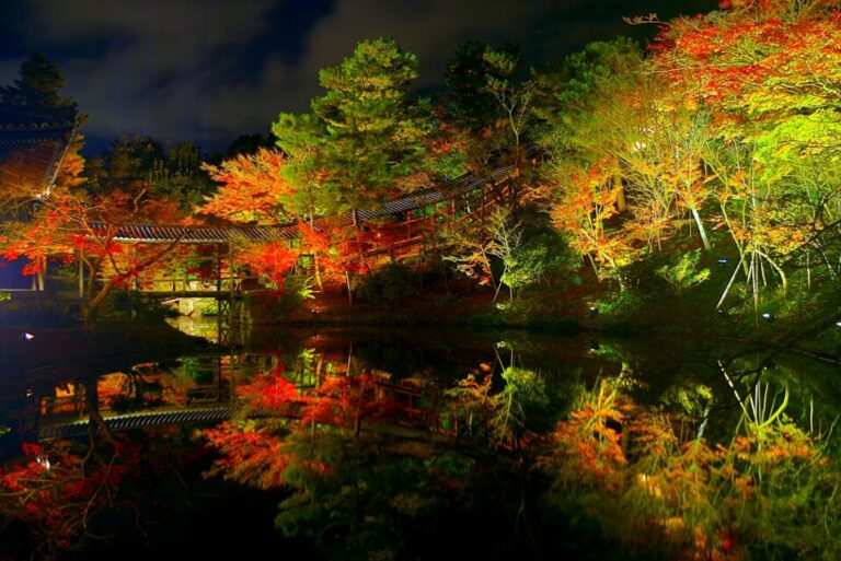 高台寺　紅葉