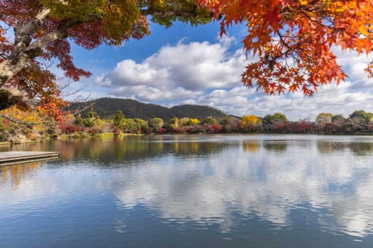 大覚寺　紅葉