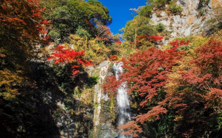 大阪　紅葉