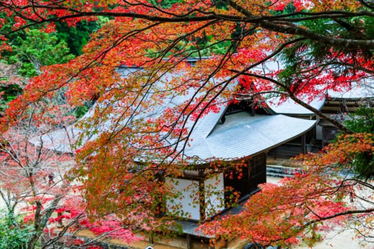 高雄神護寺　紅葉