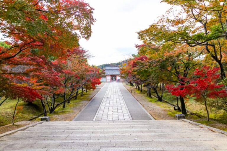 仁和寺　紅葉