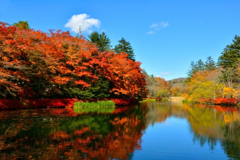 雲場池　紅葉