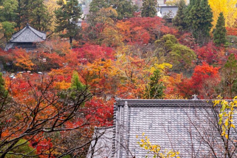 永観堂　紅葉