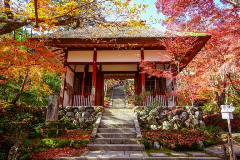 常寂光寺　紅葉