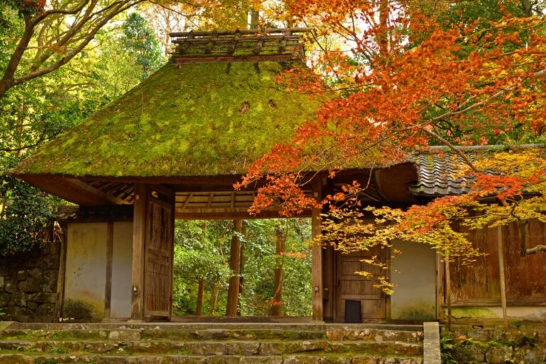 京都　紅葉