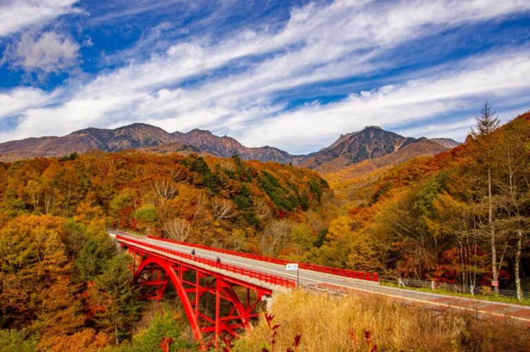 八ヶ岳　紅葉