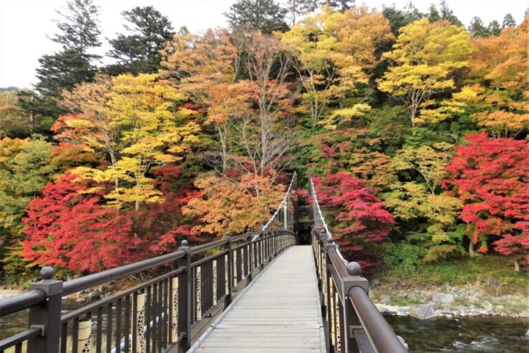 那須高原　紅葉