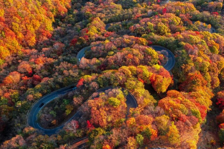 日光いろは坂　紅葉