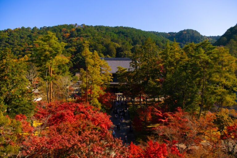 真正極楽寺　紅葉