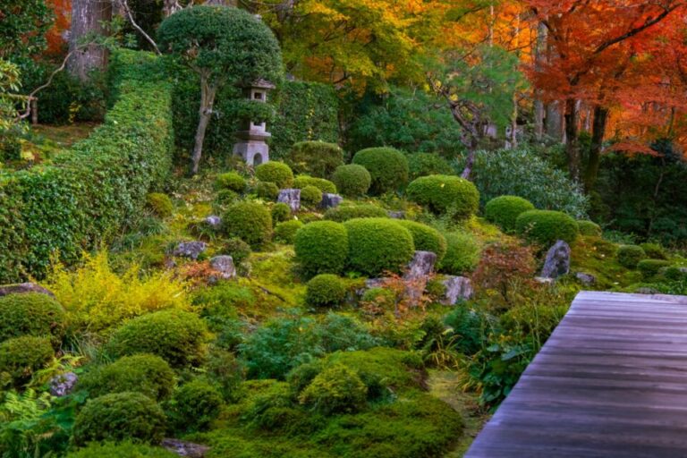 大原三千院　紅葉