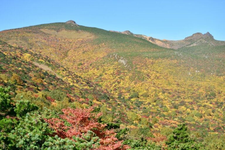 安達太良山　紅葉