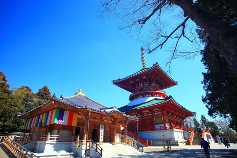 成田山新勝寺　駐車場