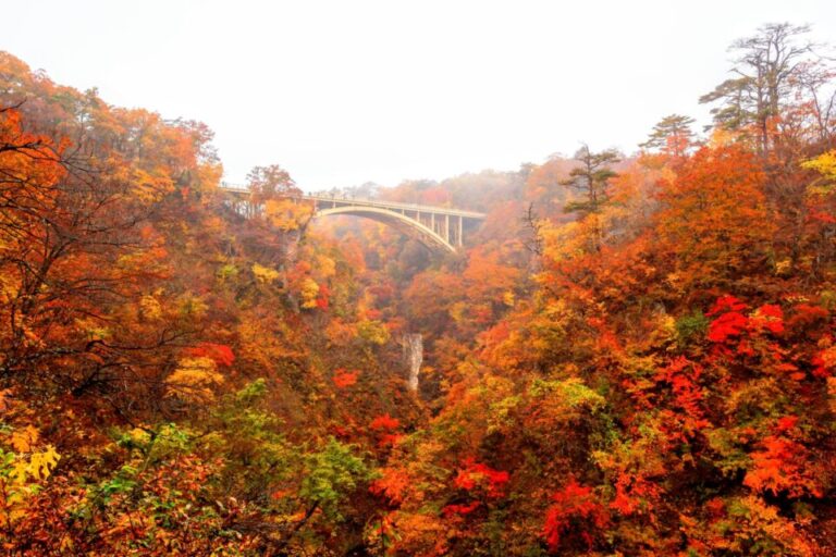 鳴子峡　紅葉