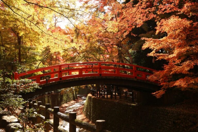 北野天満宮　もみじ