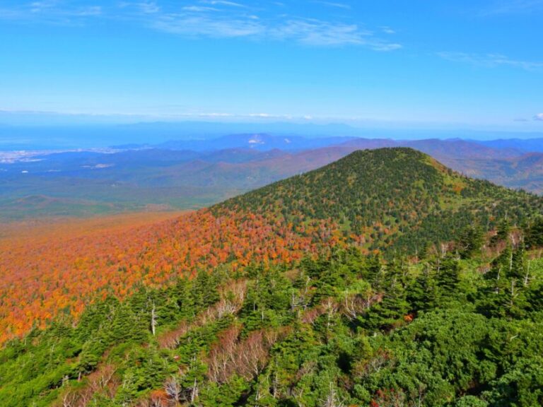 八甲田山　紅葉