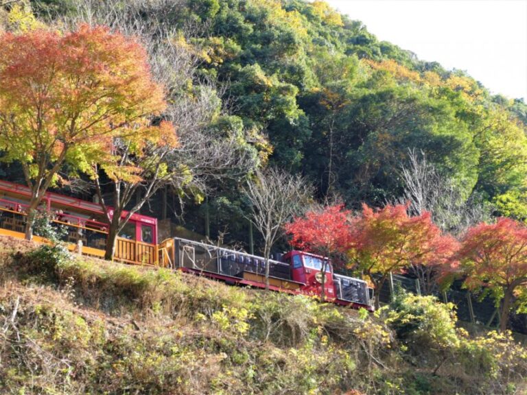 紅葉　嵯峨野トロッコ列車