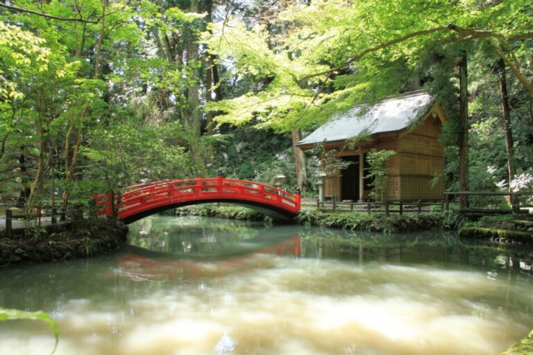 小國神社　紅葉