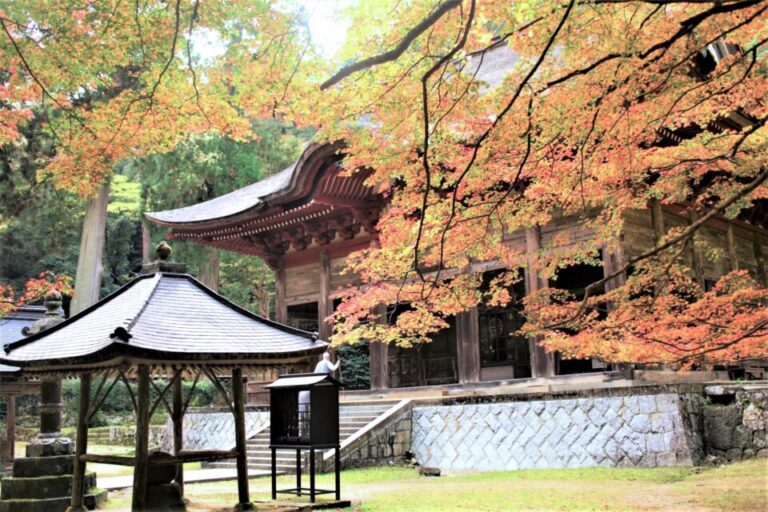 鰐淵寺　紅葉