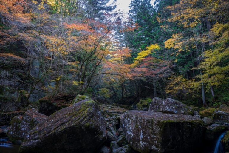 赤目四十八滝　紅葉