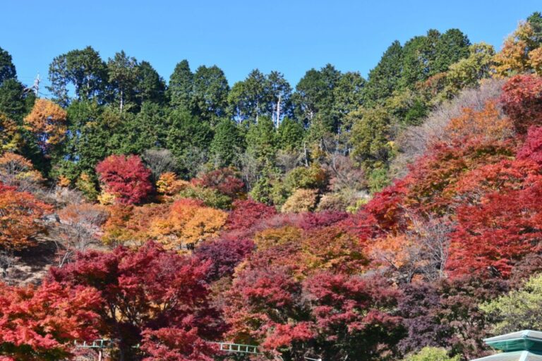 比叡山　紅葉