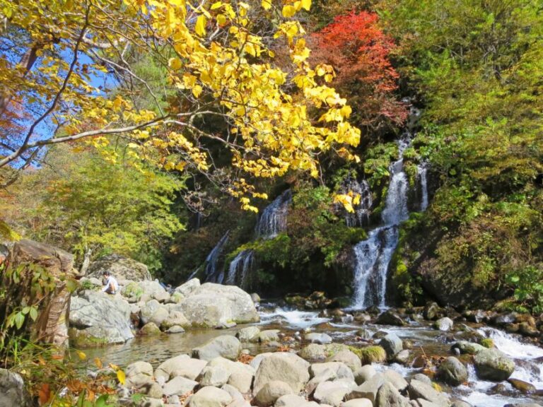 清里高原　紅葉