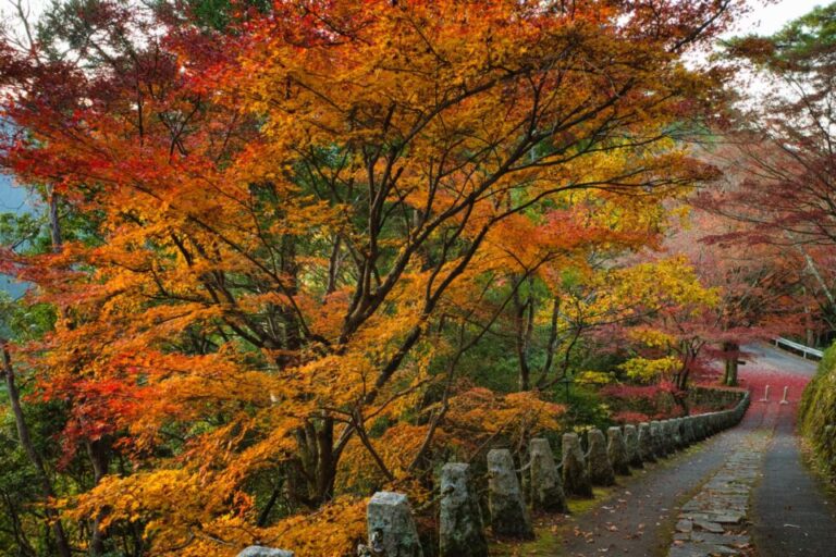 吉野山　紅葉