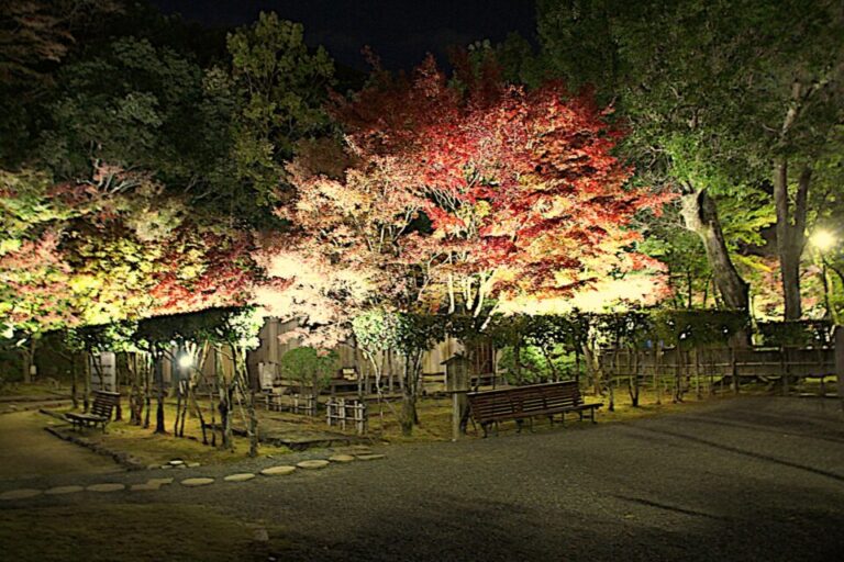 龍野公園　紅葉