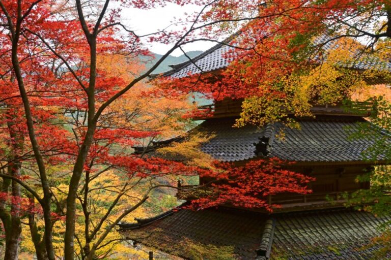 高源寺と丹波地区　紅葉