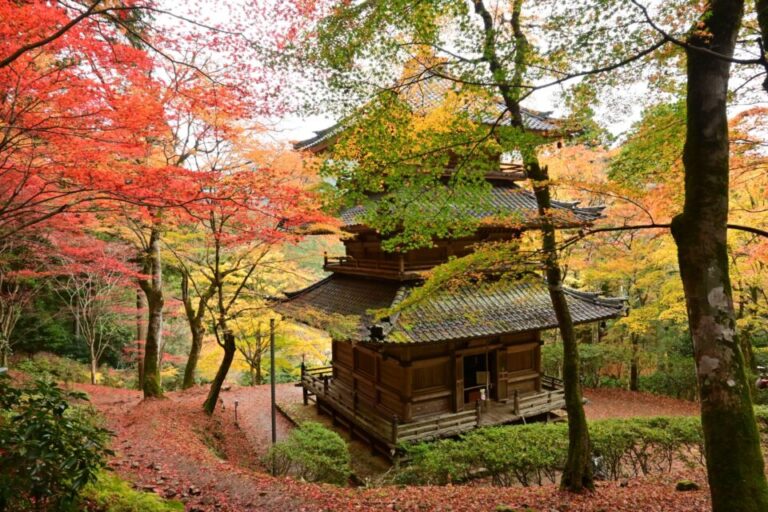 高源寺　紅葉