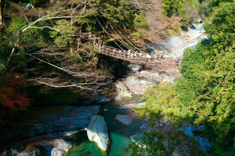 祖谷のかずら橋　紅葉