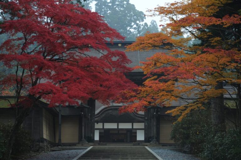 高野山　紅葉