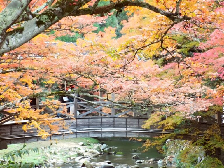 佛通寺　紅葉