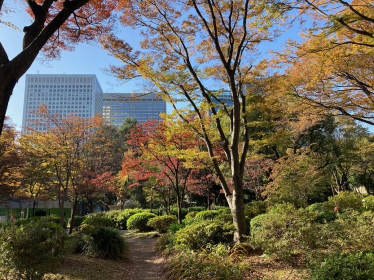 日比谷公園　紅葉