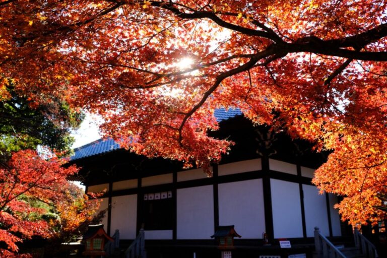 愛知　犬山寂光院