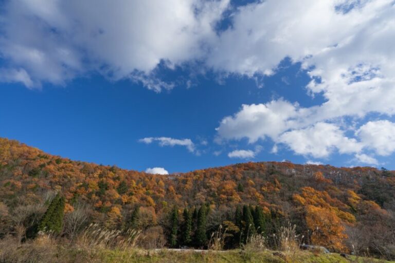 飛騨せせらぎ街道　紅葉