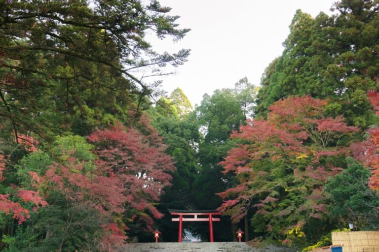 霧島神宮　紅葉