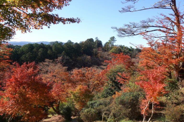 静岡　修善寺自然公園