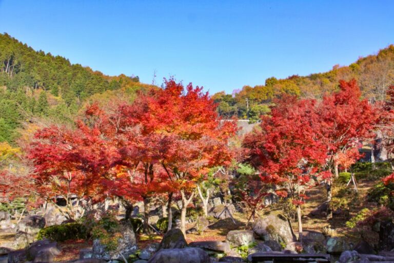 耶馬渓　紅葉