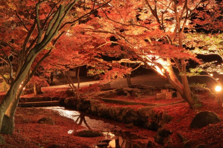 東山公園　紅葉