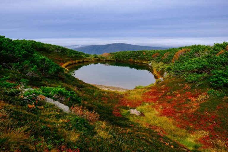 旭岳　紅葉