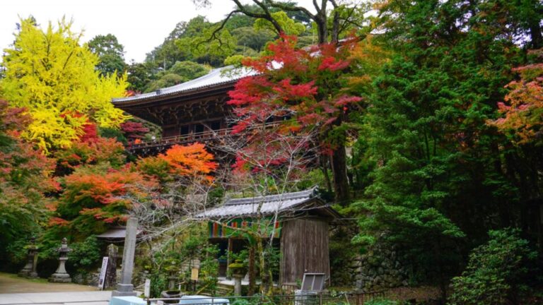 書寫山圓教寺　紅葉