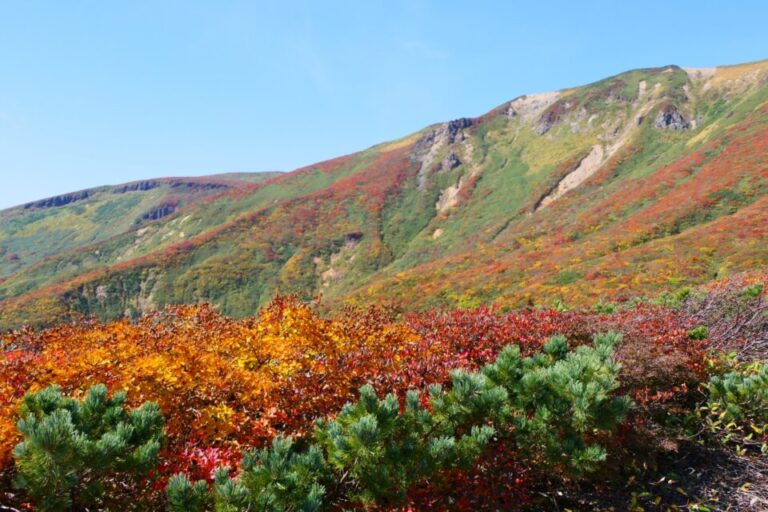 栗駒山　紅葉