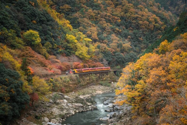 嵯峨野トロッコ列車　紅葉