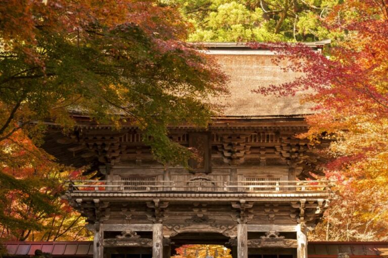 大矢田神社もみじ谷　紅葉