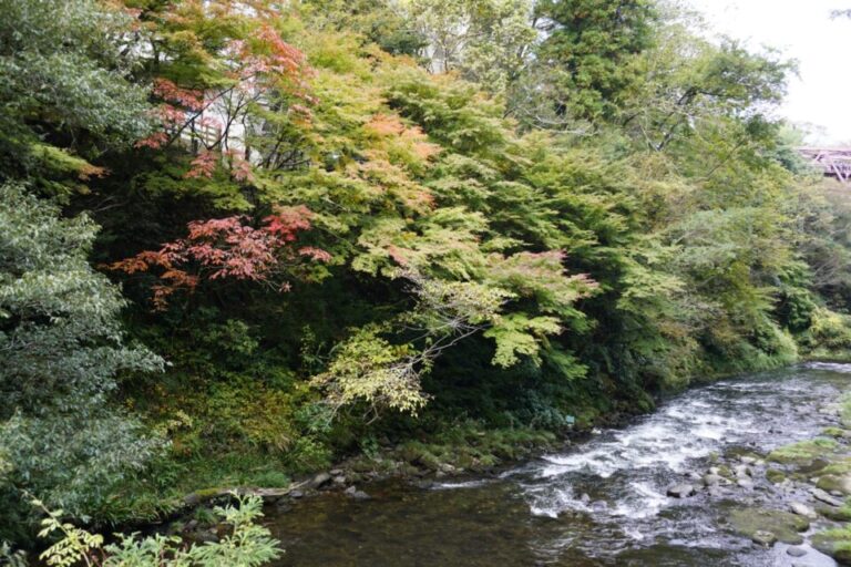 鶴仙渓　紅葉