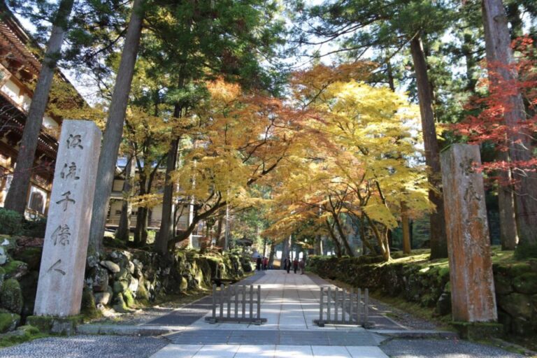 永平寺　紅葉