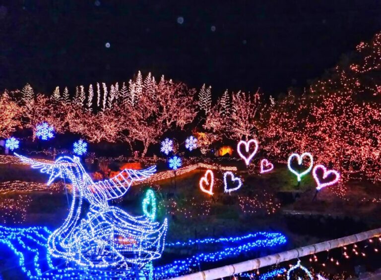 備北丘陵公園　イルミネーション